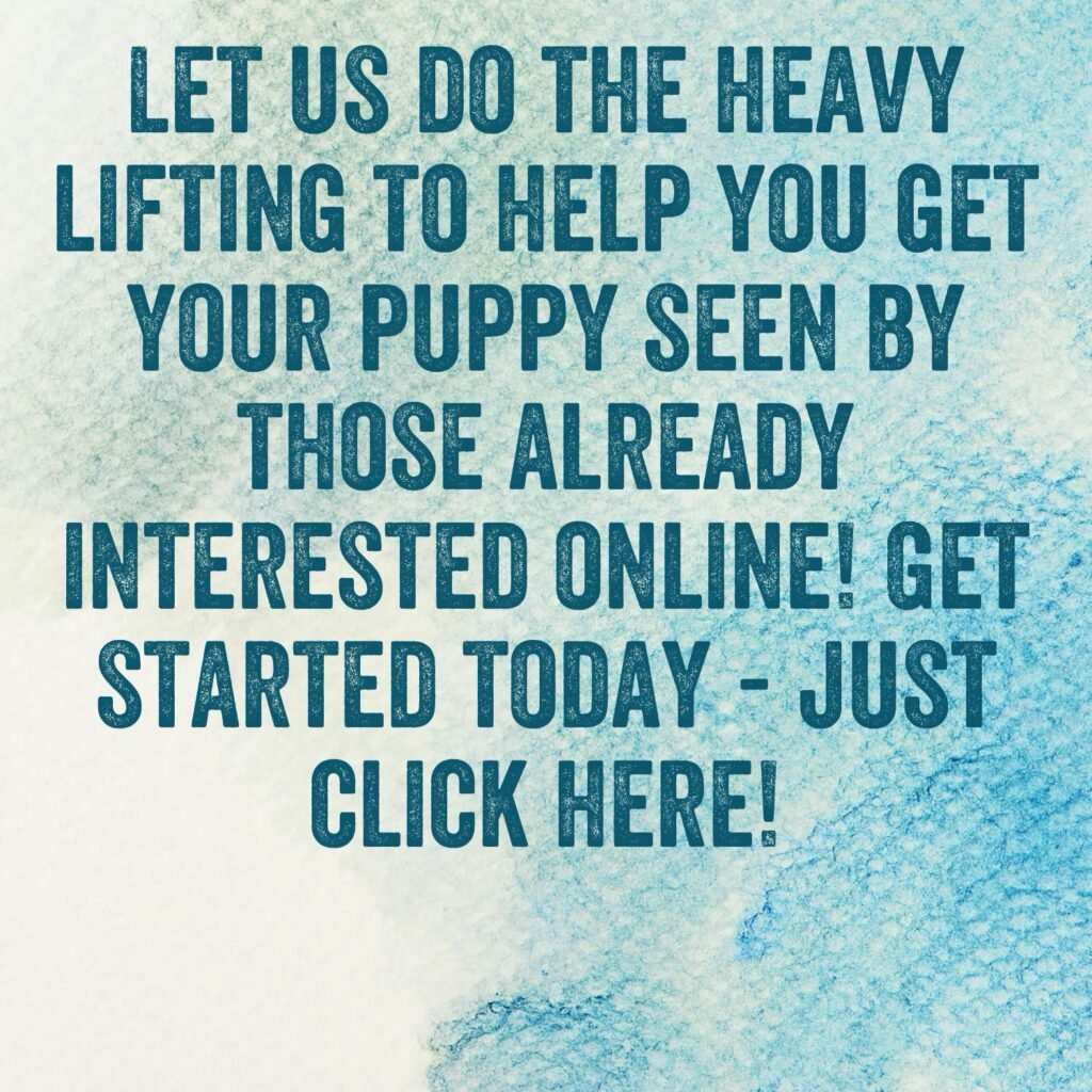 Let us help you get your puppy in front of the eyes of millions looking for a new puppy to adopt! 