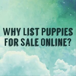 Why list puppies for sale online? 